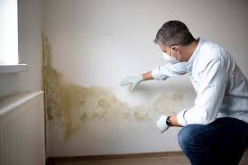 Trusted Brockport, NY Mold Remediation Experts